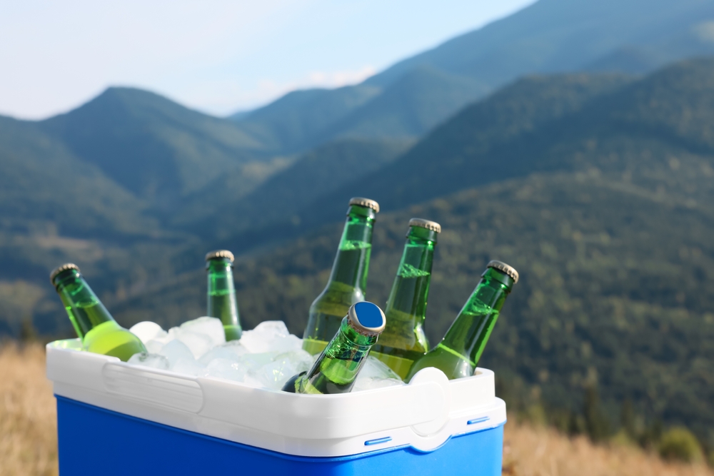 Portable Fridges